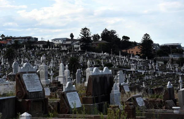 El cementerio de Waverley es patrimonio estatal — Foto de Stock