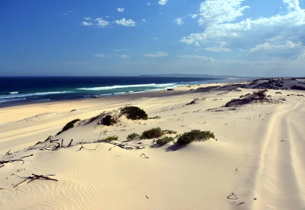A strand homokdűnéi táj — Stock Fotó