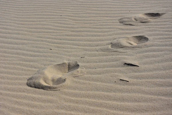 Pies en la playa. textura de arena . — Foto de Stock