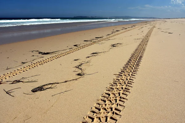 Paesaggio della spiaggia con pista di pneumatici — Foto Stock