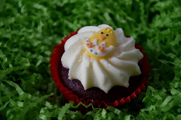 Hem gjorda påsk muffin — Stockfoto