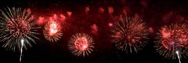 Beautiful fireworks in Canberra clipart