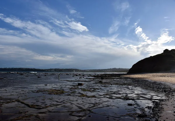 Low tide at Long Reef Headland — Stock Photo, Image