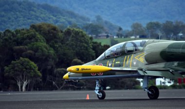 L - 39c Albatros bir yüksek performanslı jet eğitim uçağıdır