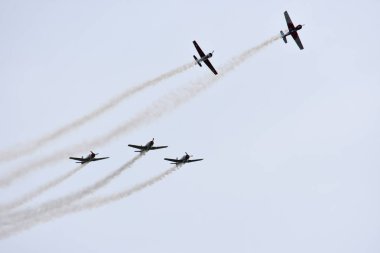 Rus Roolettes oluşumu takım