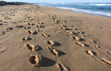 Kumsaldaki kumda ayak izleri.