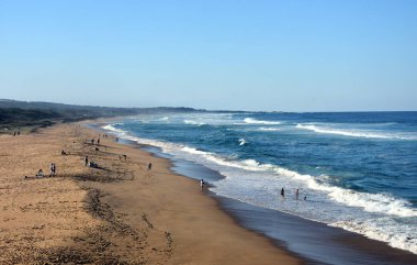 Tuross Head kumsalda Coila