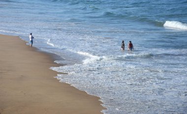 Tuross Head kumsalda Coila