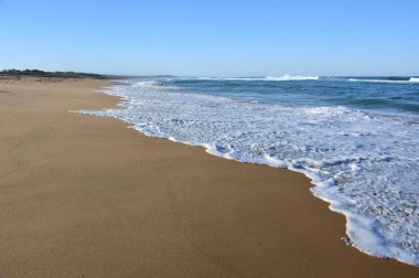 dalga deniz kum plaj