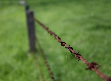 paslı eski aşınmış dikenli tel