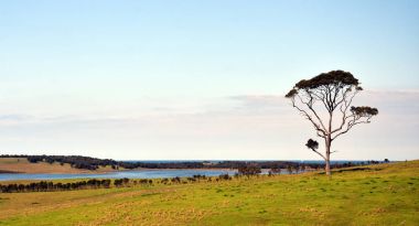 Onun pastoral ayar Narooma yakınındaki Merkezi Tilba 