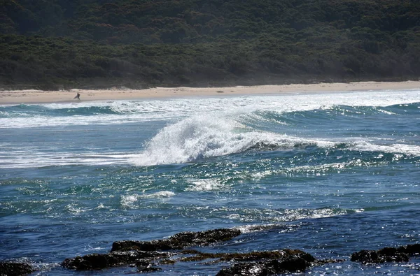 Praia de Coila em Tuross Head — Fotografia de Stock