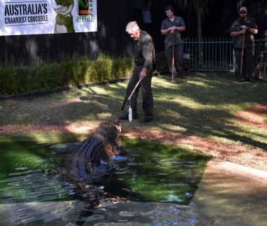Avustralya'nın crankiest timsah Elvis gösterisi