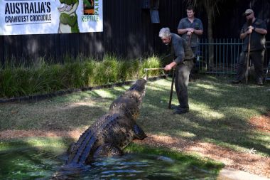 Avustralya'nın crankiest timsah Elvis gösterisi