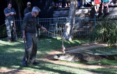 Avustralya'nın crankiest timsah Elvis gösterisi