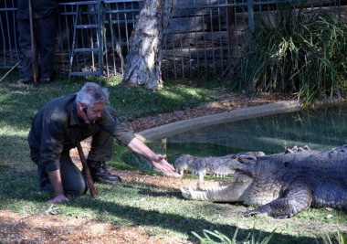 Avustralya'nın crankiest timsah Elvis gösterisi 