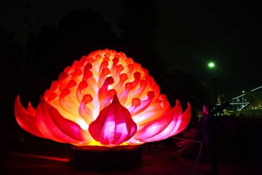 Waratah yükleme sırasında canlı Sydney