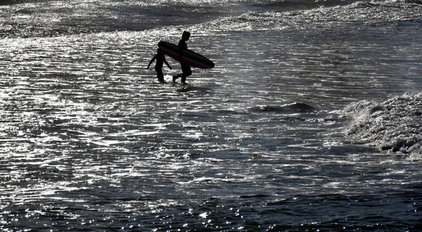 サーファー ビーチで彼女のサーフボードを運ぶ — ストック写真