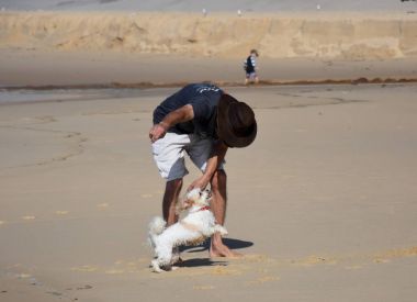 onun sahibi ile plajda oynayan köpek