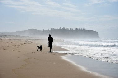 Köpek ve onun sahibi Belmont Sahilde yürüyüş