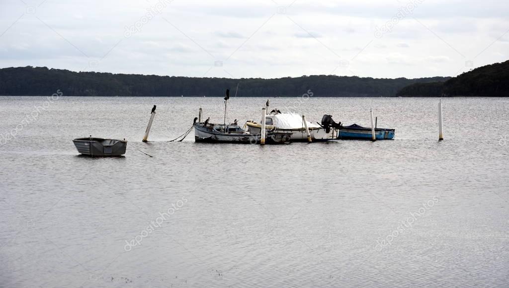 Boats moored at lake Macquarie 