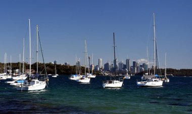 Sydney Harbour ve Sydney Şehir Manzaralı