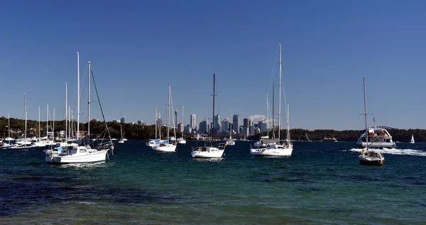 Sydney Harbour a výhledem na město Sydney — Stock fotografie