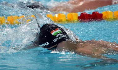 Rekabetçi yüzücü Gergely Gyurta