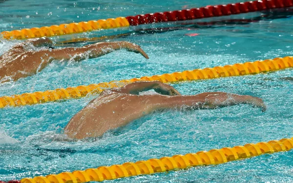 水泳選手のピーター ・ Bernek — ストック写真