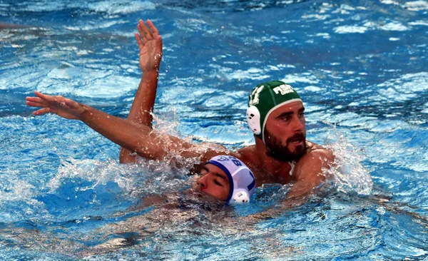 Ubovic Nemanja Molyneux Nicholas ile savaşır