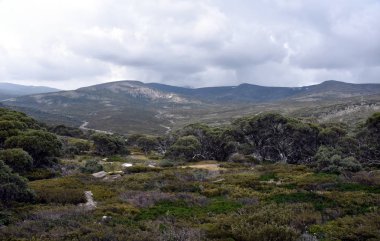 Charlotte pass New South Wales, Avustralya, karlı dağlarda yürüyüş pistte. 