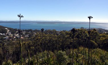 Gan Gan uyanık Lily tepe üzerinde gelen Nelson Bay için göster ve Stephens bağlantı noktası. Tepeler ve Nsw, Avustralya'nın kıyı şeridi. 