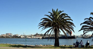 Pitt st rezerv ağaçların altında oturan insanlar. Newcastle avcı nehrin diğer tarafında olduğunu.