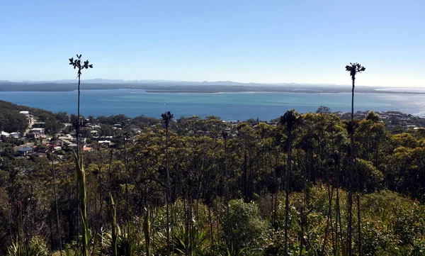 ネルソン ベイにユリの丘の上の Gan Gan の展望台からの眺めし ポートスティーブンスします 丘陵およびニューサウス ウェールズ州 オーストラリアの海岸線 — ストック写真