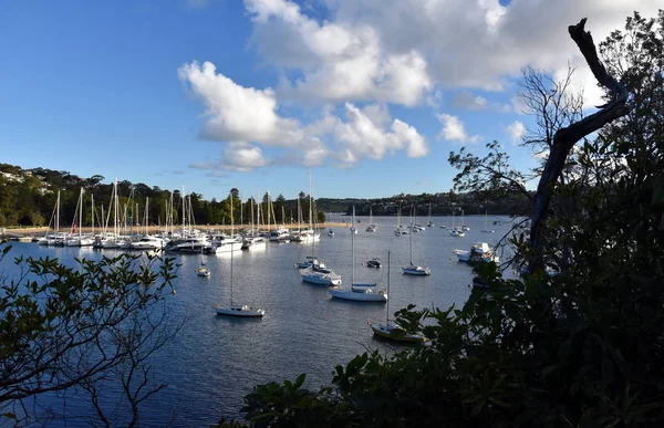 Many Moored Yachts Boats Sandy Bay Low Tide Clontarf Beach — Stock Photo, Image