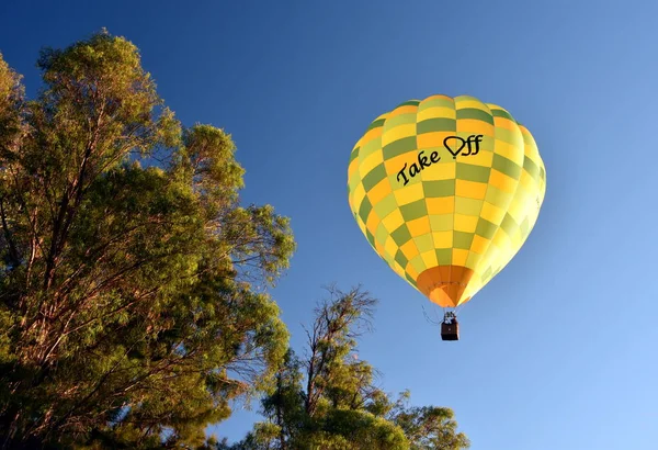 キャンベラ オーストラリア 2018 キャンベラのバルーンの壮大なフェスティバルの一環として 木の上を飛んで テイクオフ タイトルの黄色 熱気球 — ストック写真