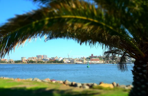 Panoramic view of Newcastle. Christ Church Cathedral in the background on the other side of Hunter River.