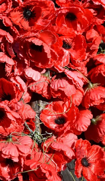 塑料红色罂粟花 红罂粟已成为战争纪念的象征 安扎克日 世界各地 — 图库照片