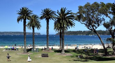 Palmiye ağaçları ile Balmoral plaj. Sydney Harbour Kuzey baş ve Güney kafa ile giriş içinde belgili tanımlık geçmiş.