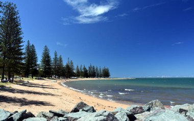 Scarborough Beach Noel zamanı (Redcliffe, Qld, Avustralya), güneşli bir günde. Ağaçlar beach çevresinde.