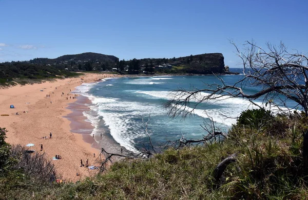 Güneşli Bir Günde Avalon Beach Bilgola Tepeden Panoramik Görünümü Plaj — Stok fotoğraf