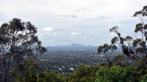 Vista Panorámica Brisbane Desde Coot Tha Lookout Queensland Australia —  Fotos de Stock