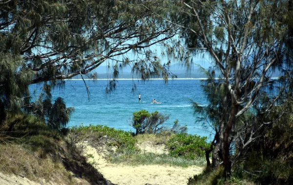 Nachzügler Zeigen Auf Trial Bay Gaol Beach Einem Sonnigen Weihnachtstag — Stockfoto