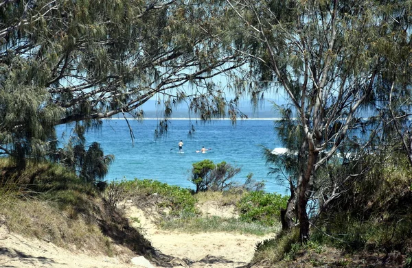 Laggers Point Trial Bay Gaol Beach Sunny Day Christmas Time — Stock Photo, Image