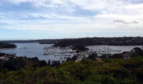 Plivat Plivat Most Zakotvené Jachty Sydney Harbour Pozadí — Stock fotografie