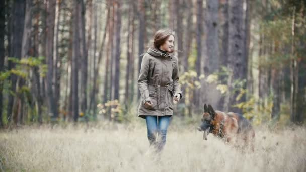 Young woman running with a shepherd dog in autumn forest, slow motion — 비디오