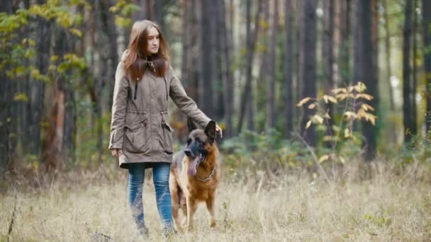 Mujer joven de pie con un perro pastor en el bosque de otoño acariciando la nuca — Vídeo de stock