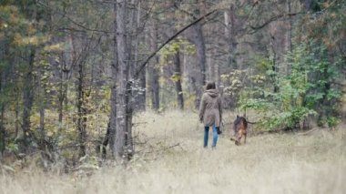 Young woman walking with a shepherd dog in autumn forest goes away
