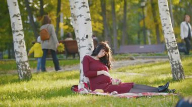 4k Gün batımında sonbahar parkında battaniye üzerinde oturan kırmızı elbiseli sevimli mutlu hamile kadın