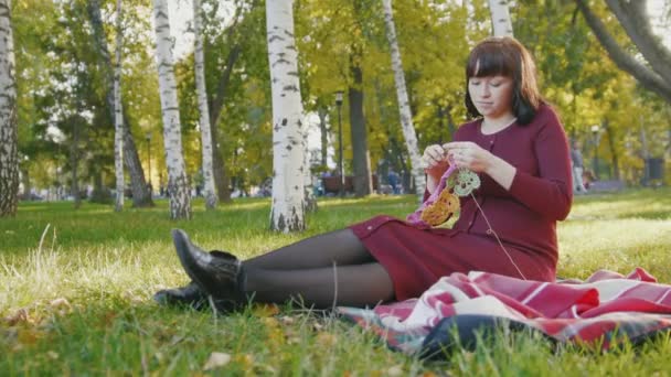 4 k leuke gelukkig zwangere vrouw in rode jurk zittend op de deken en maak breien in de herfst park bij zonsondergang, dia schot — Stockvideo